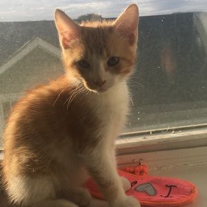 Meet your Posher, Jasmin